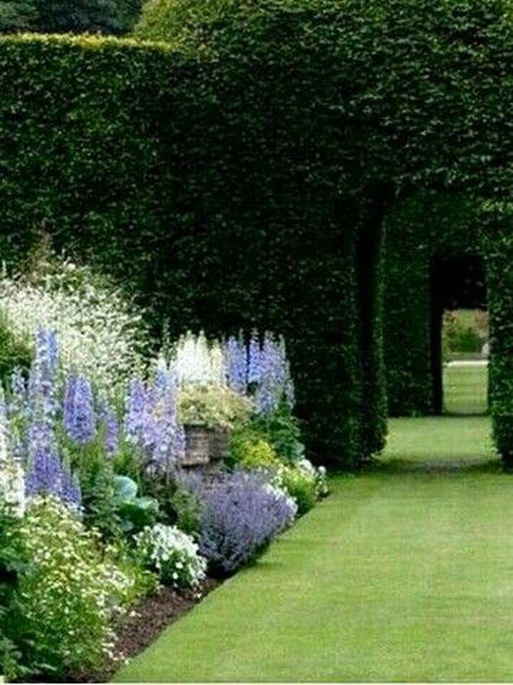 Formal English Garden Hedges
