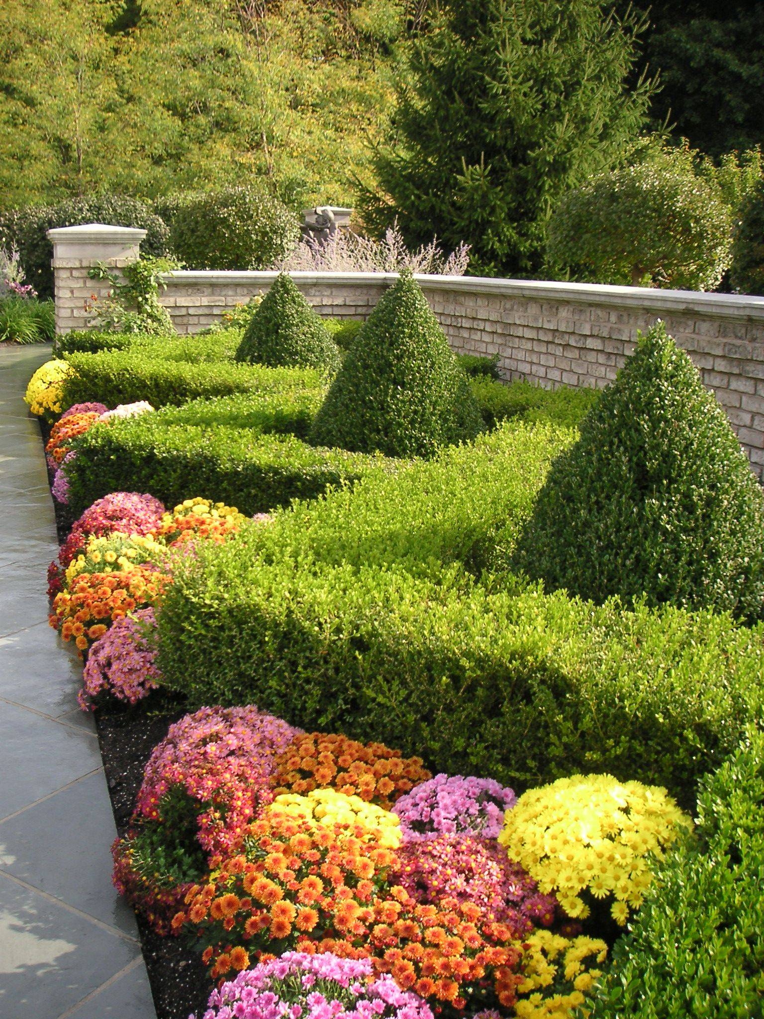 Irish Yew Hedge Garden