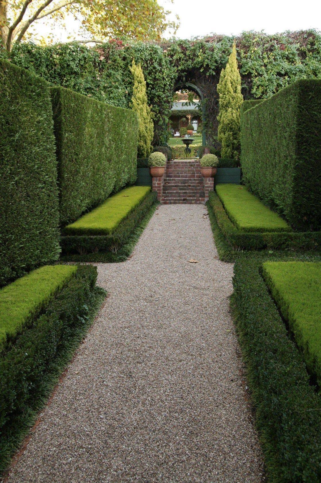 Topiary Hedge Formal Garden Shrub Plants F Park