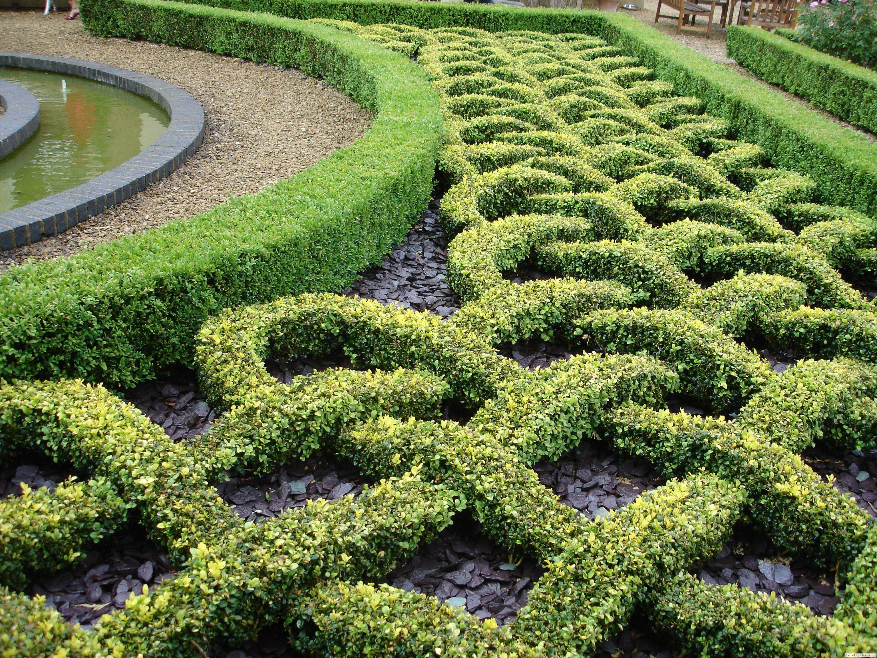 Tailored Formal Gardens Boxwood Hedges