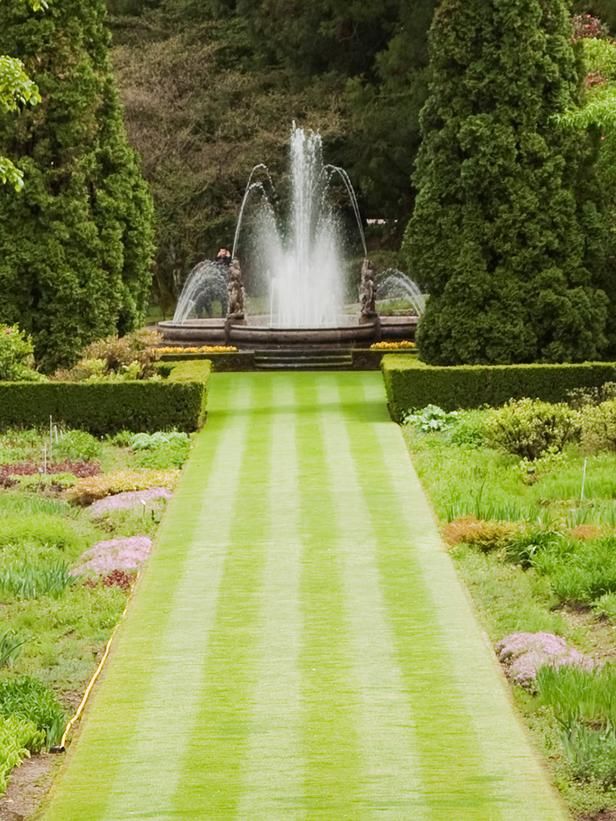 Simple Landscaping Ideas