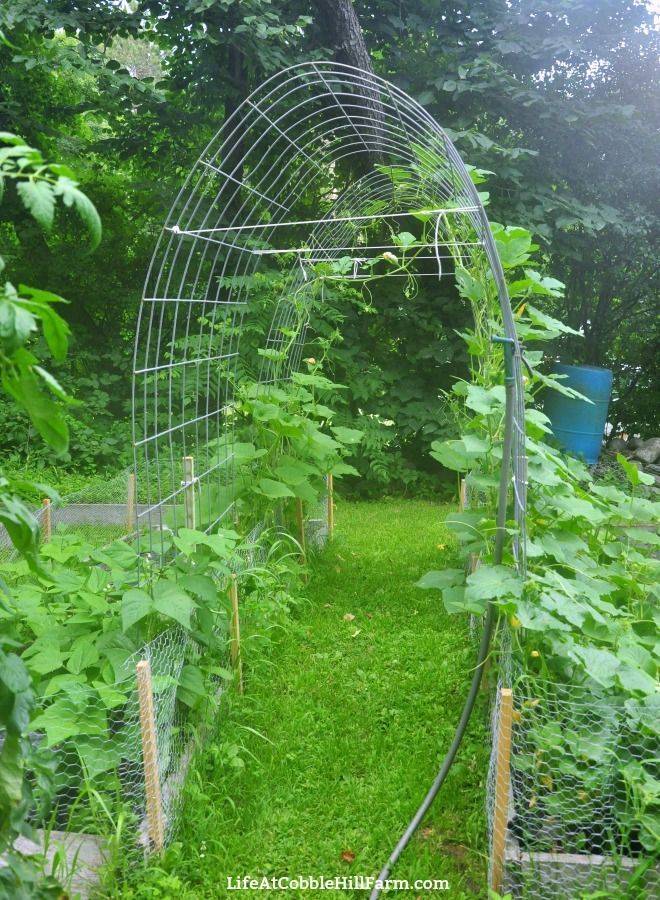 Easy Garden Arbor