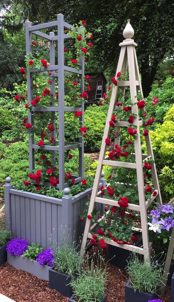 Google Search Obelisk Trellis