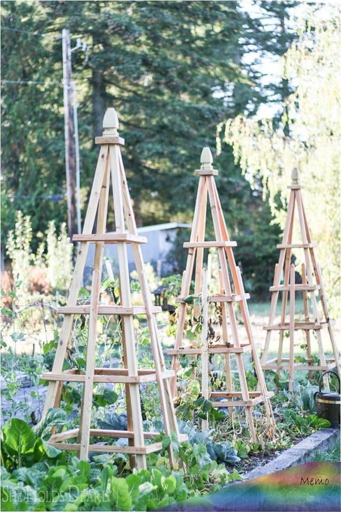Woodenobelisktrellis Home Made By Carmona