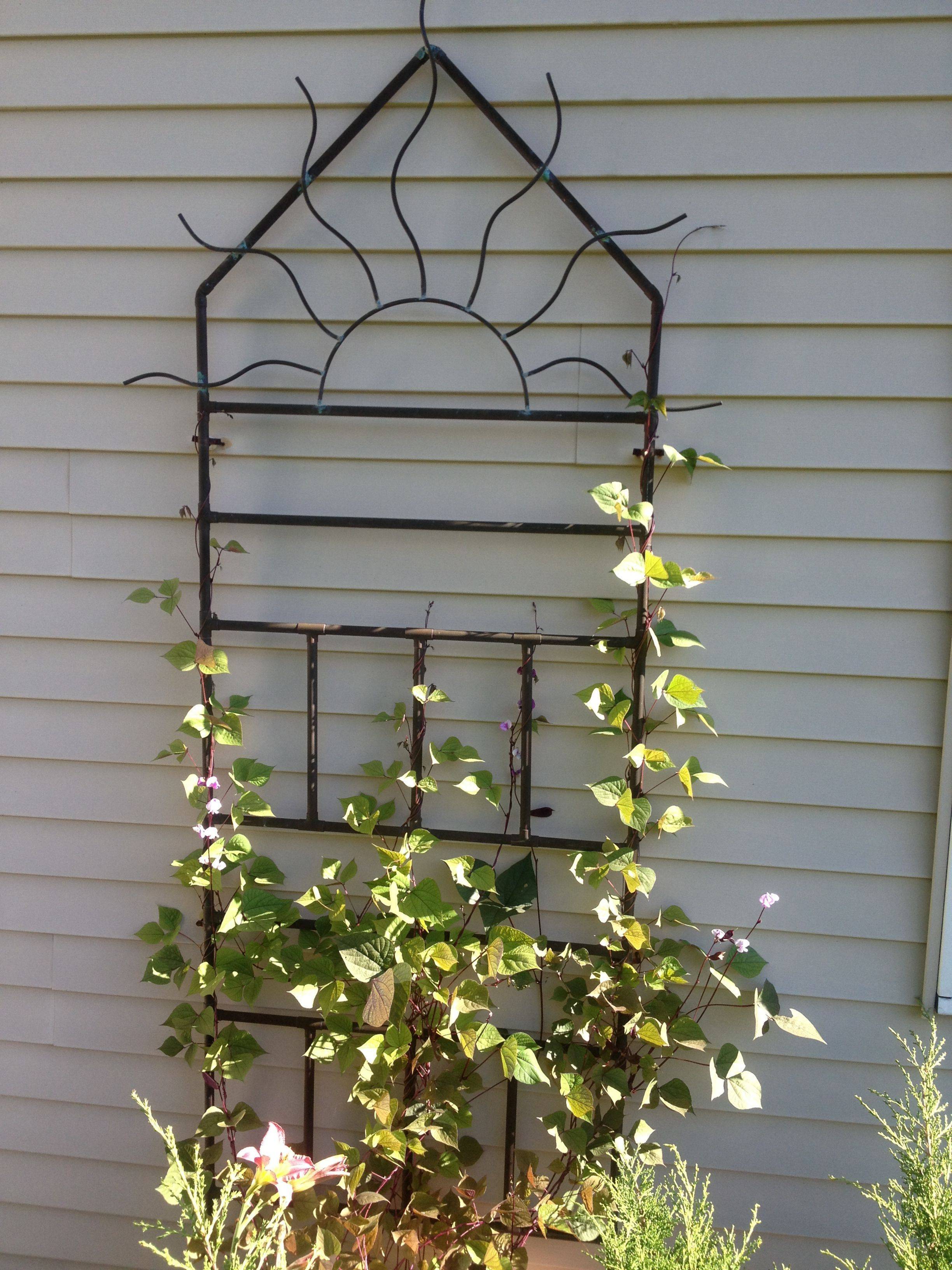 Awesome Diy Garden Trellis Projects Hative