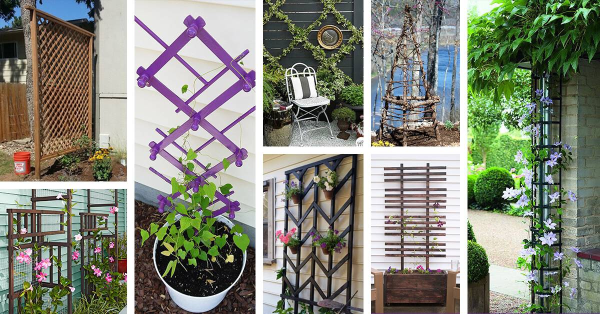 Best Diy Garden Trellis Projects
