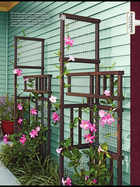 Best Diy Garden Trellis Projects