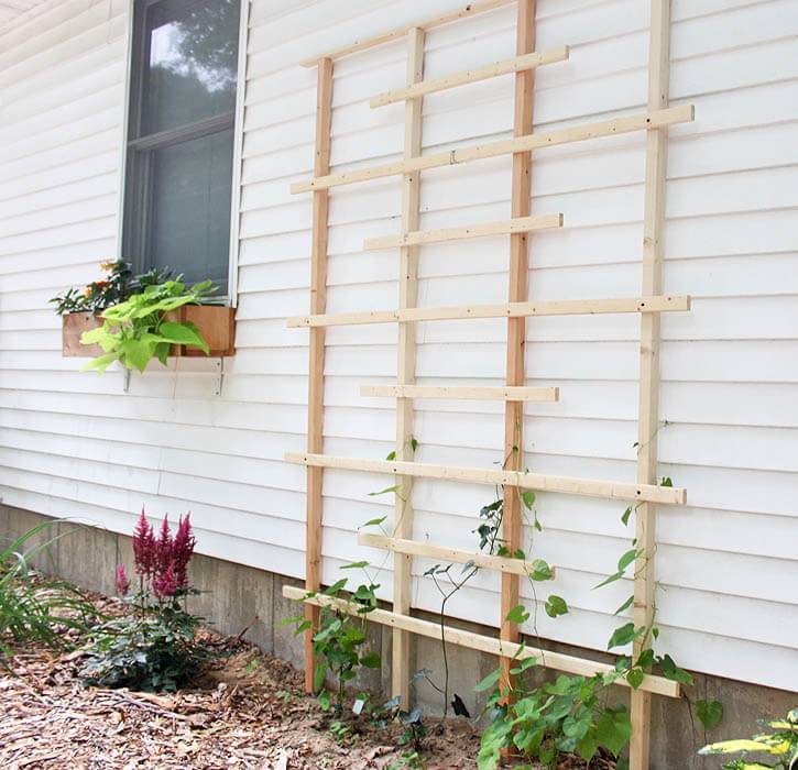 Best Diy Garden Trellis Projects