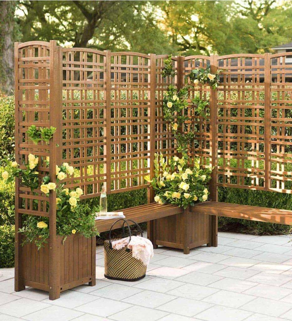 A Trellis Privacy Screen