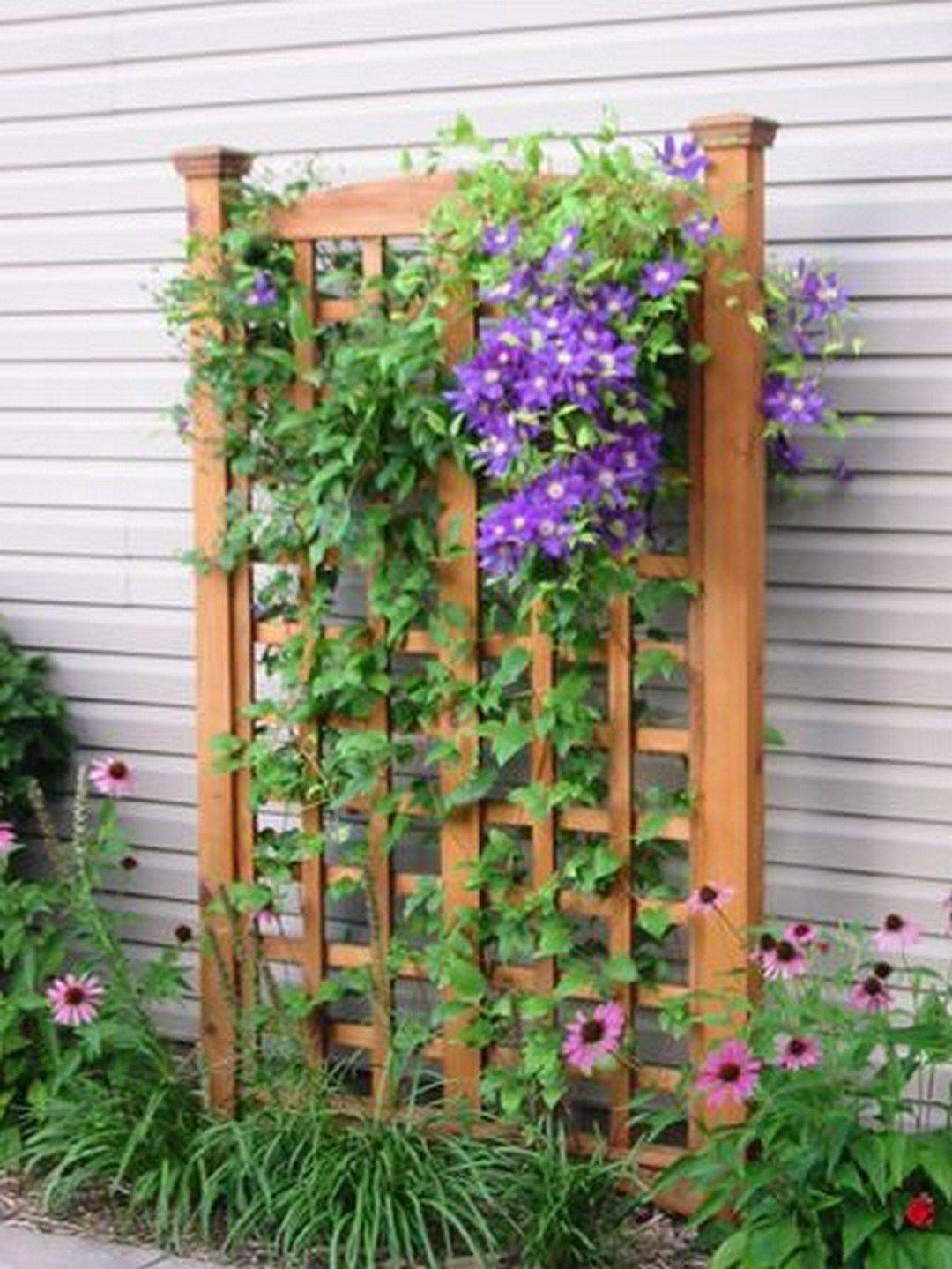 Backyard Privacy