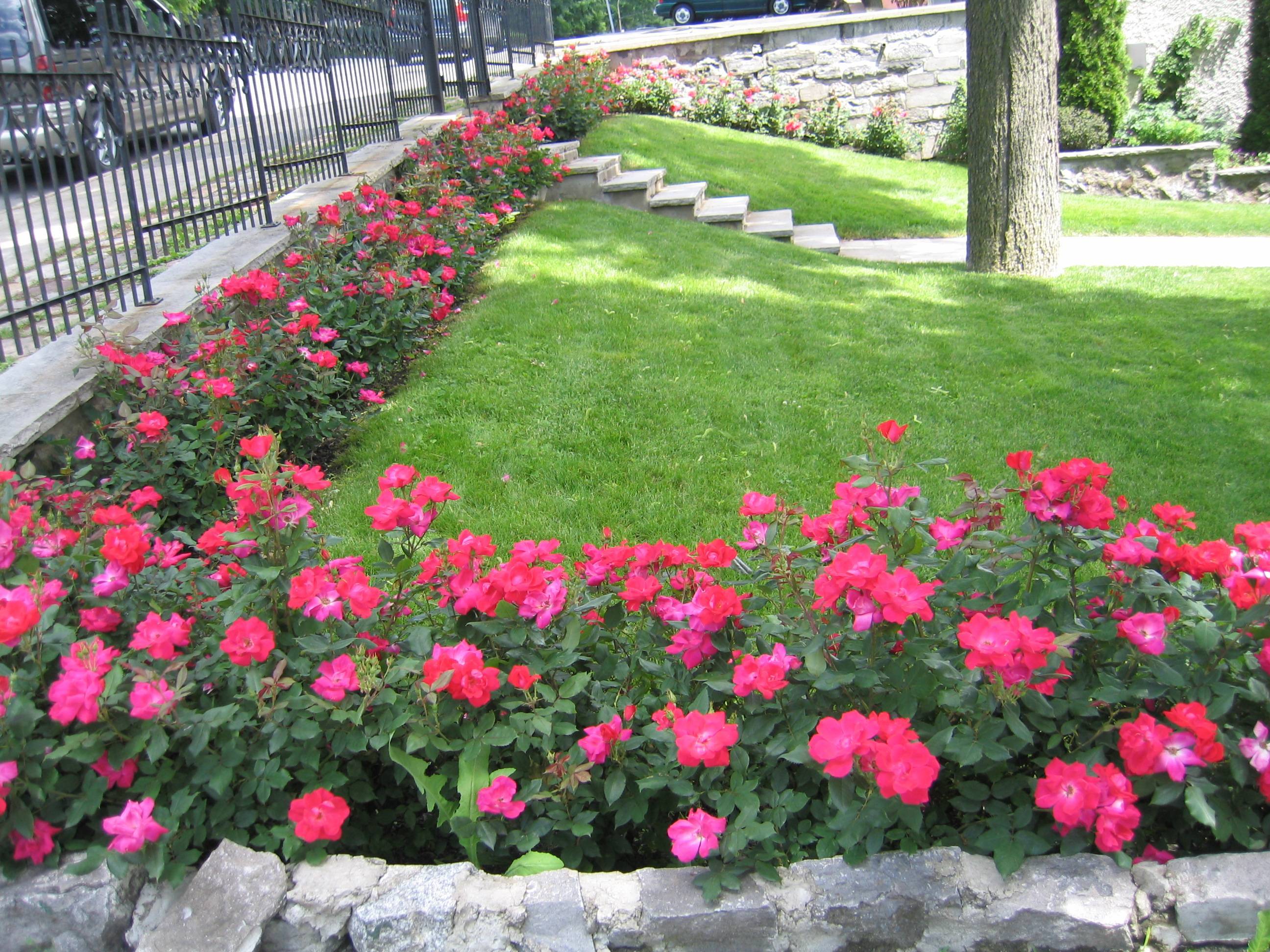 Flower Bed Backyard Landscaping Designs
