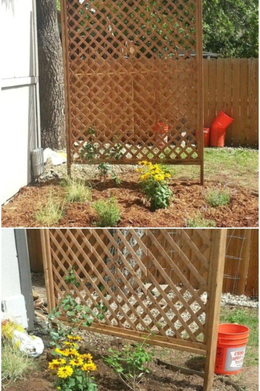 Your Garden Diy Garden