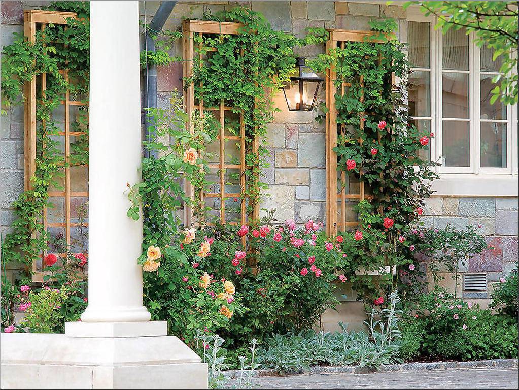Your Garden Diy Garden