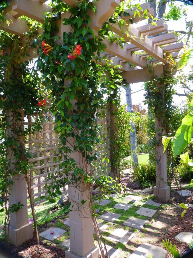 24 Creative Garden Trellis Ideas To Try This Year SharonSable