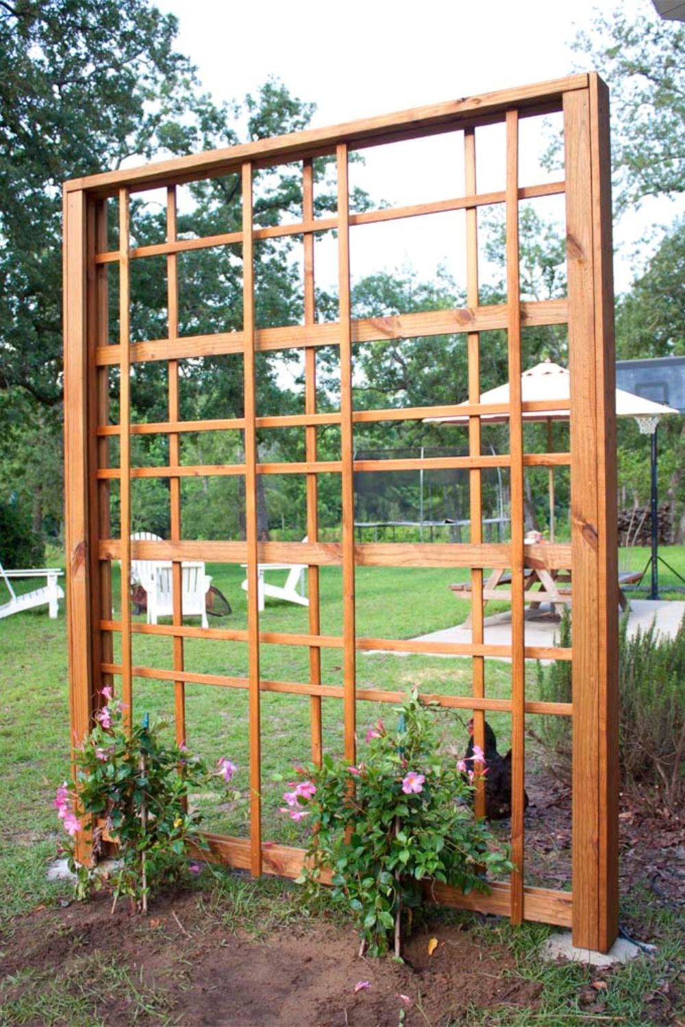 24 Creative Garden Trellis Ideas To Try This Year SharonSable