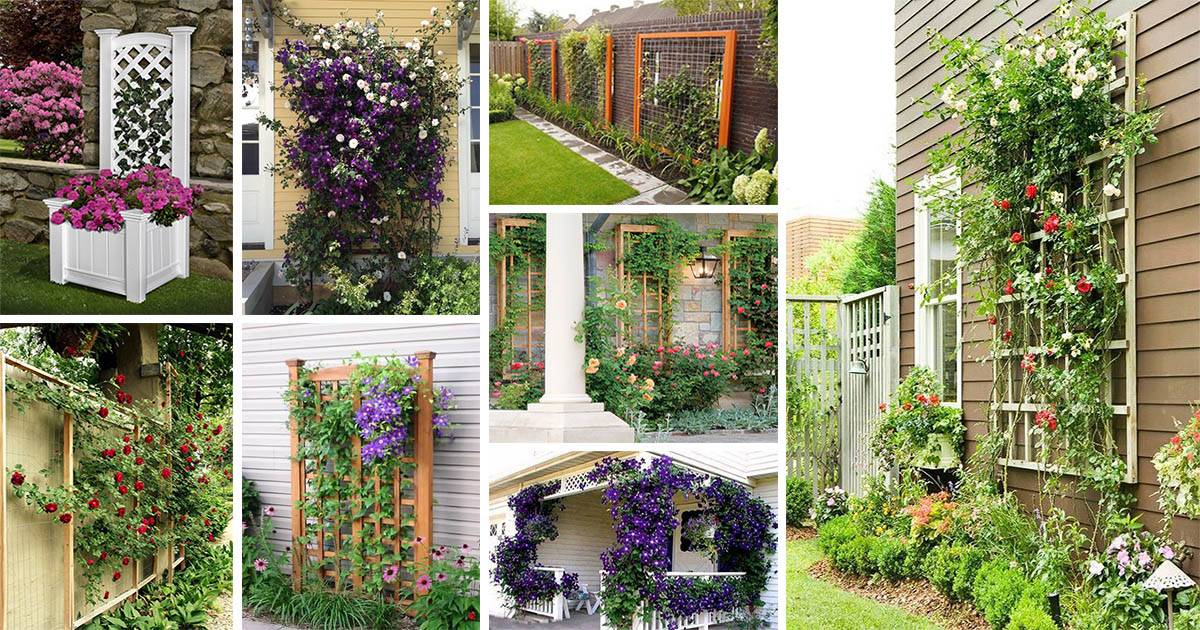 Decoration Ideas Garden Creative Garden
