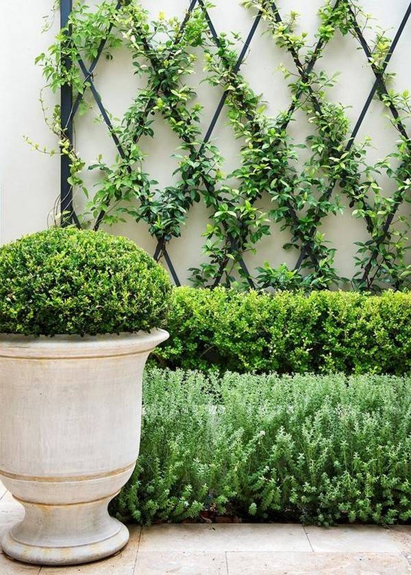Creative Trellis Ideas Small Backyard