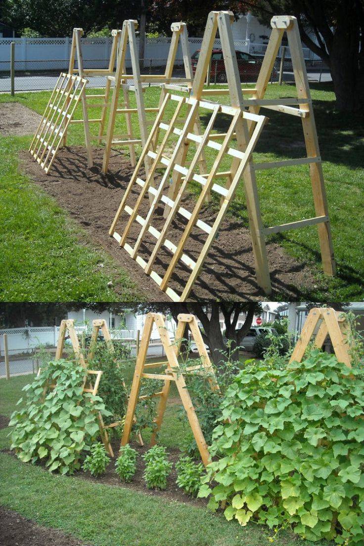 Vegetable Garden Trellis Ideas Simphome