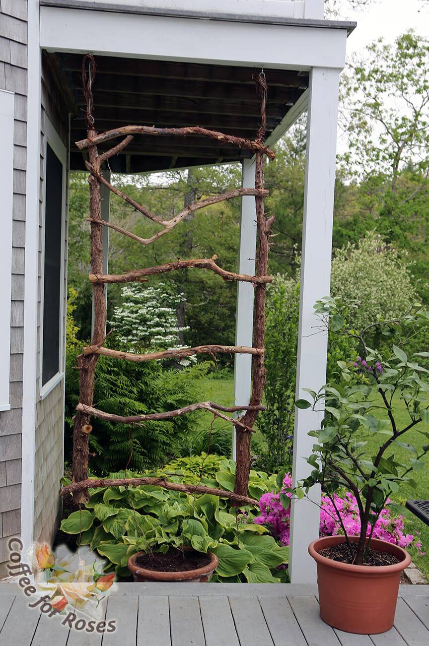 Easy Diy Trellis Ideas