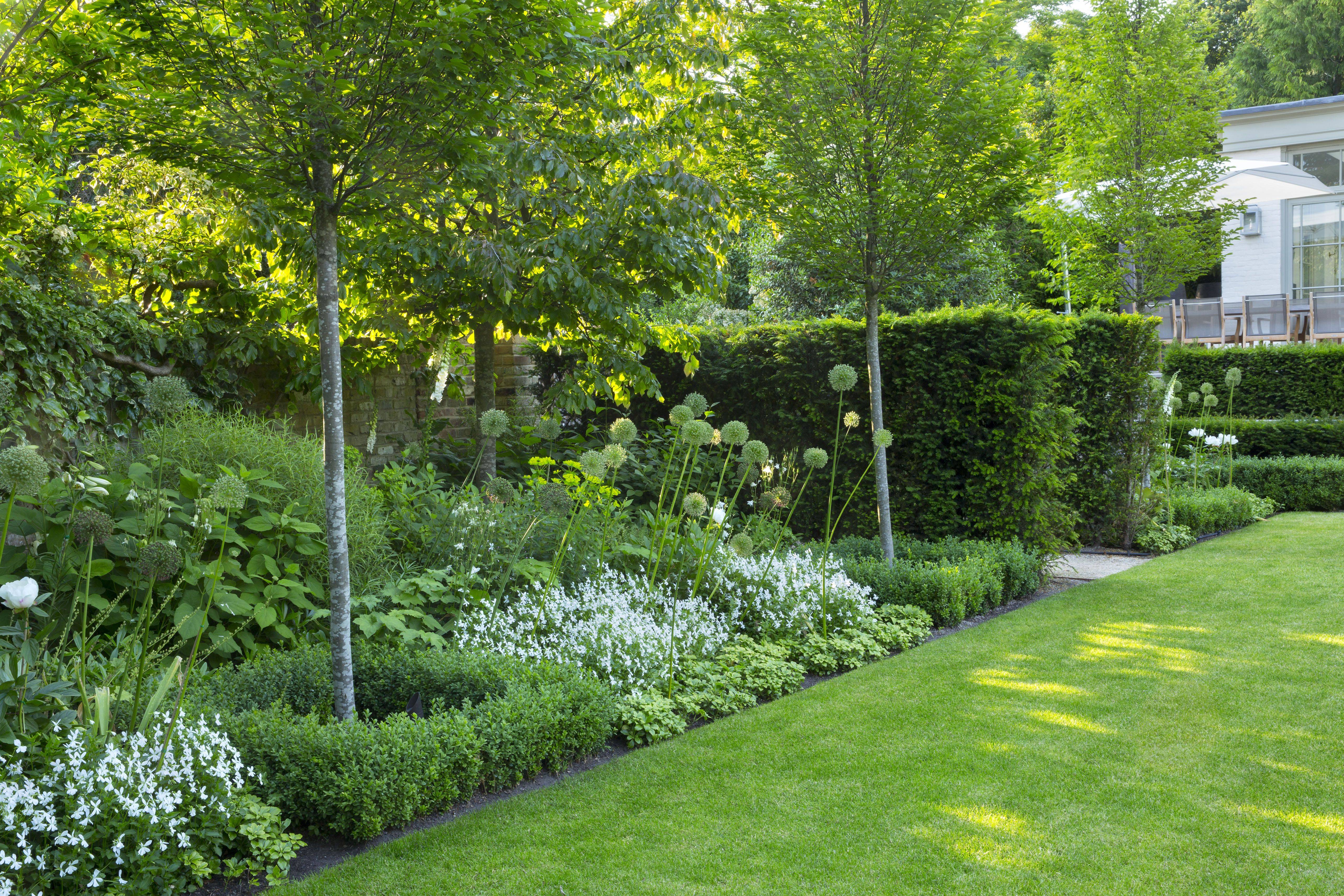 Charlotte Rowe Garden Design