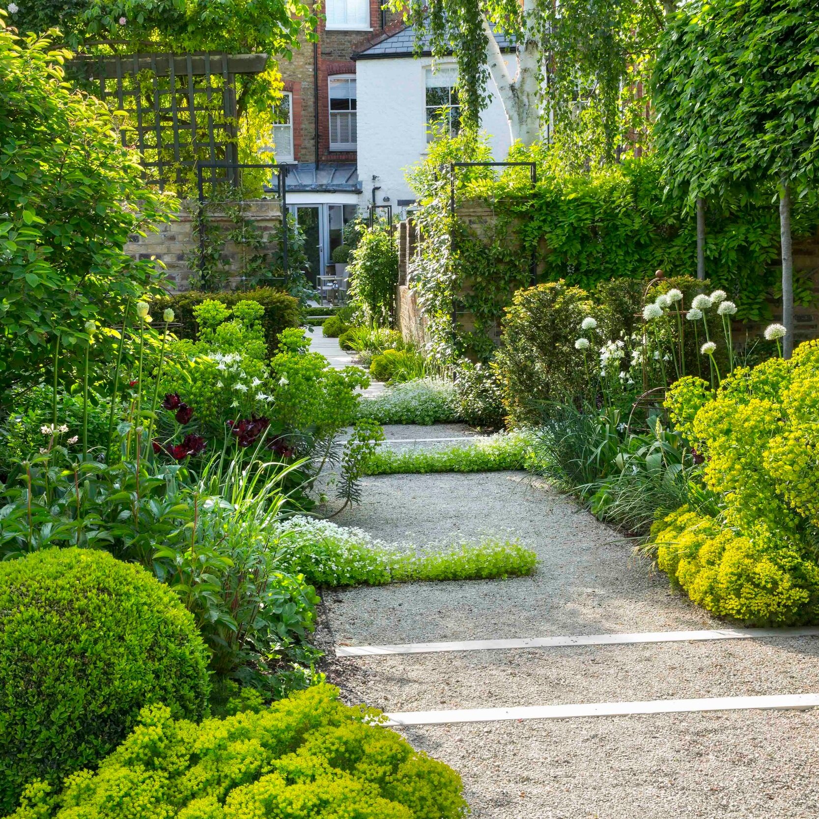 Cobham Garden Charlotte Rowe Garden Design Back Garden Design