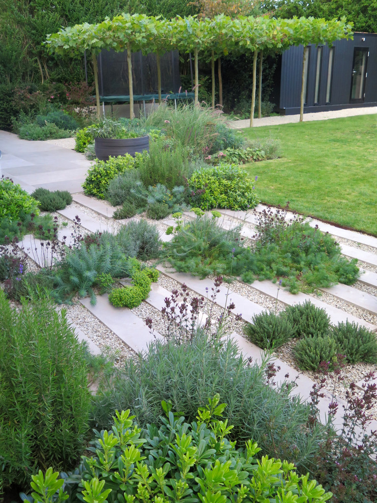 Formal Structural Garden Contemporary Garden London