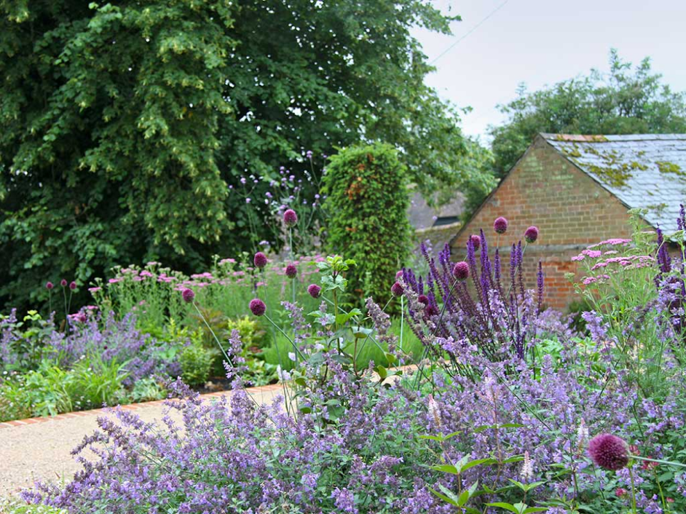 Townhouse Garden Contemporary Landscape Hampshire