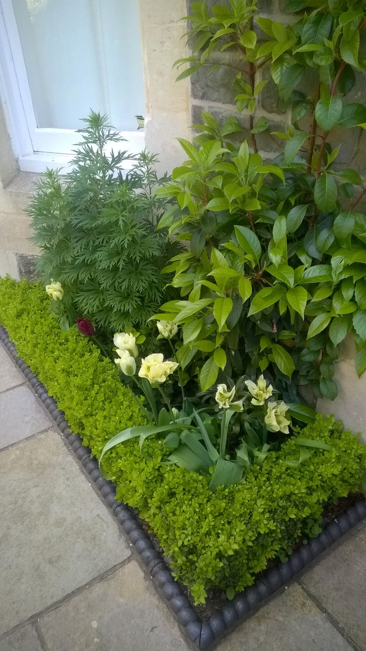 Our Linear Pavers