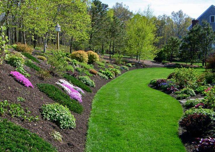 Hillside Landscaping Ideas