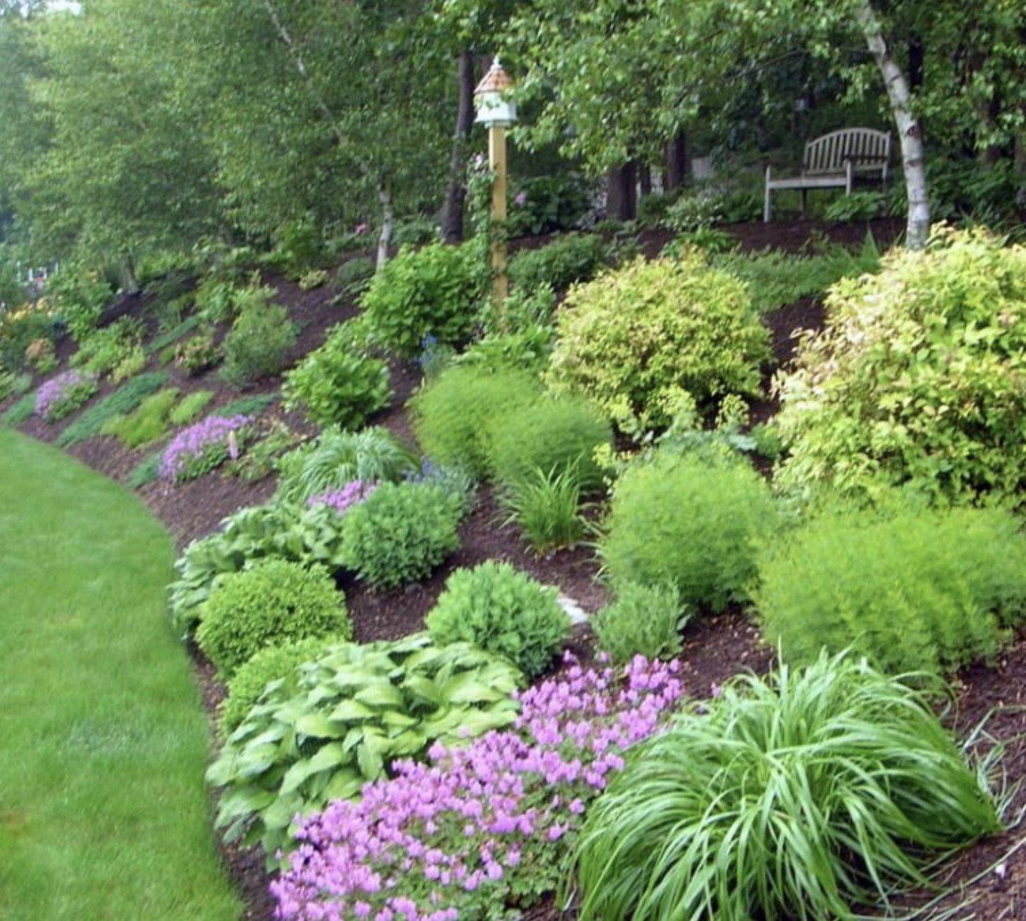 Affordable Backyard Garden Design Ideas