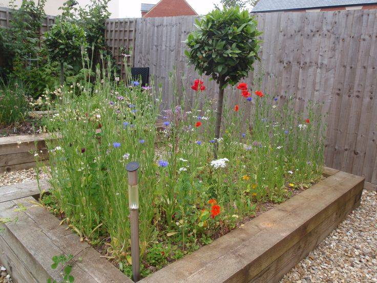 Gorgeous Perennial Garden Ideas