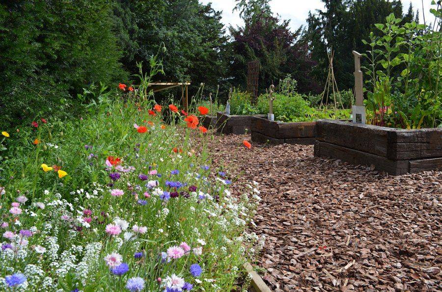 21 Wildflower Border Garden Ideas You Should Look SharonSable