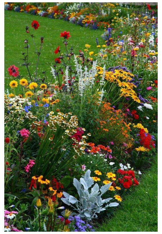 Pin P Front Yard Landscaping