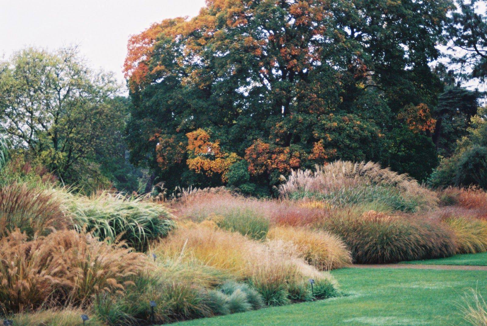 Garden Design