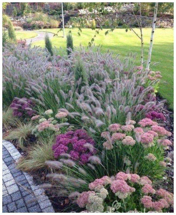 Grasses Finegardening Garden Landscape Design