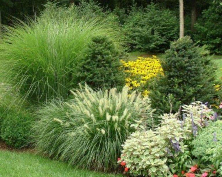 Ornamental Grass Garden Design