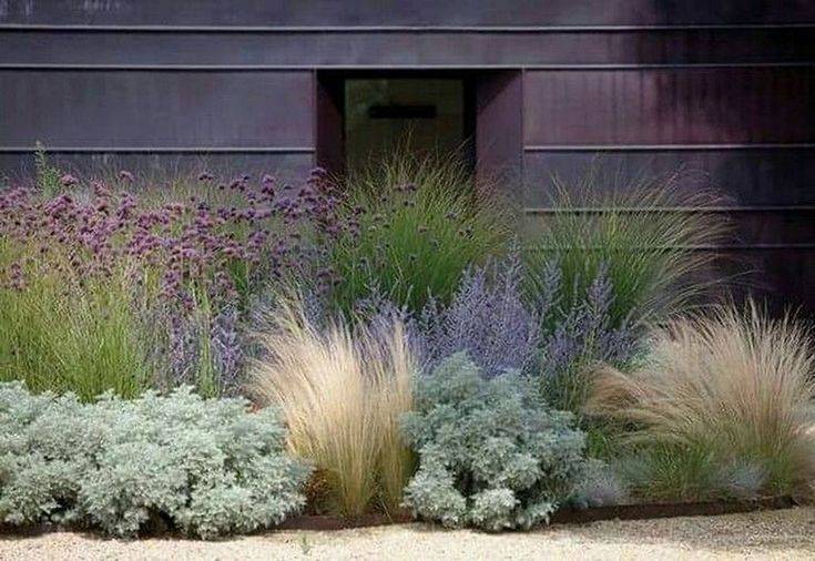 Ornamental Grasses Garden Plan Garden And Landscaping Pinterest