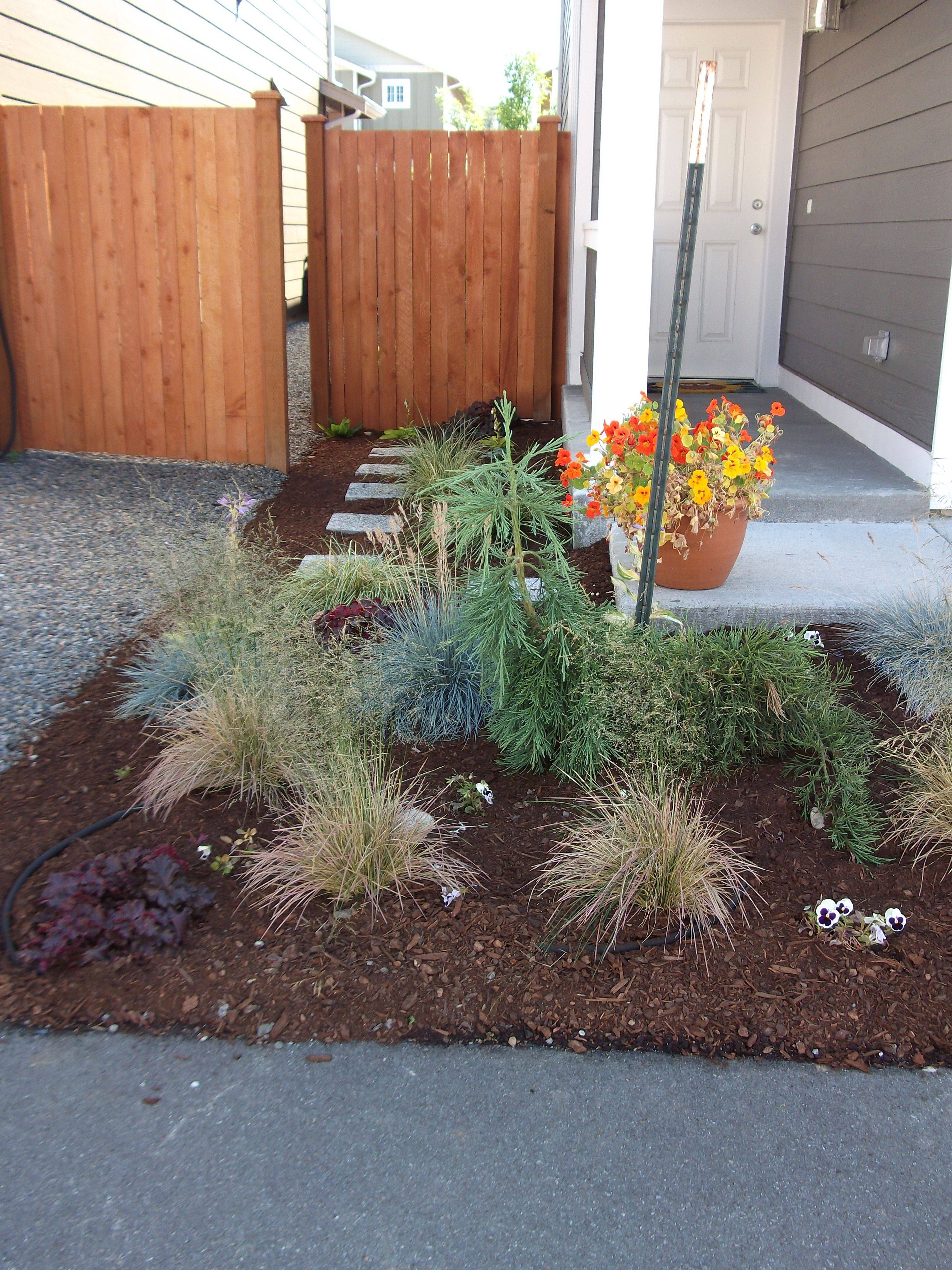 Kansas Google Search Low Maintenance Garden