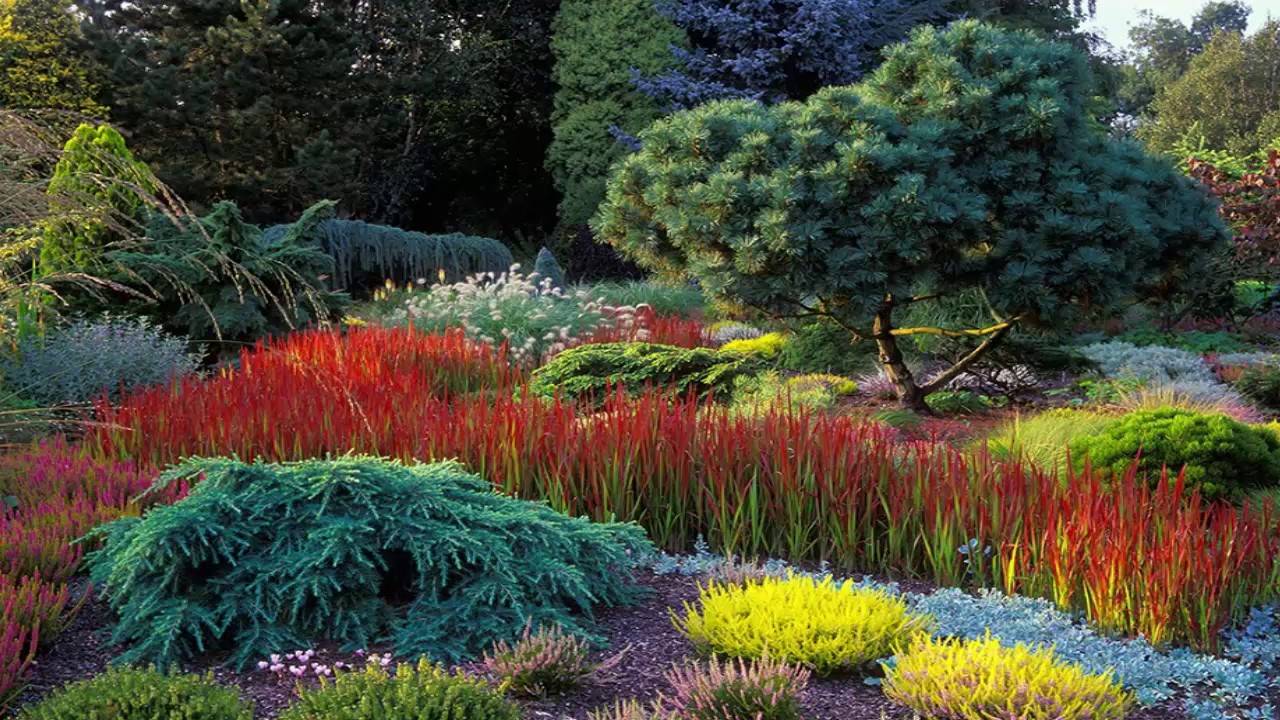 Super Landscape Design Architecture Garden Ornamental Grasses