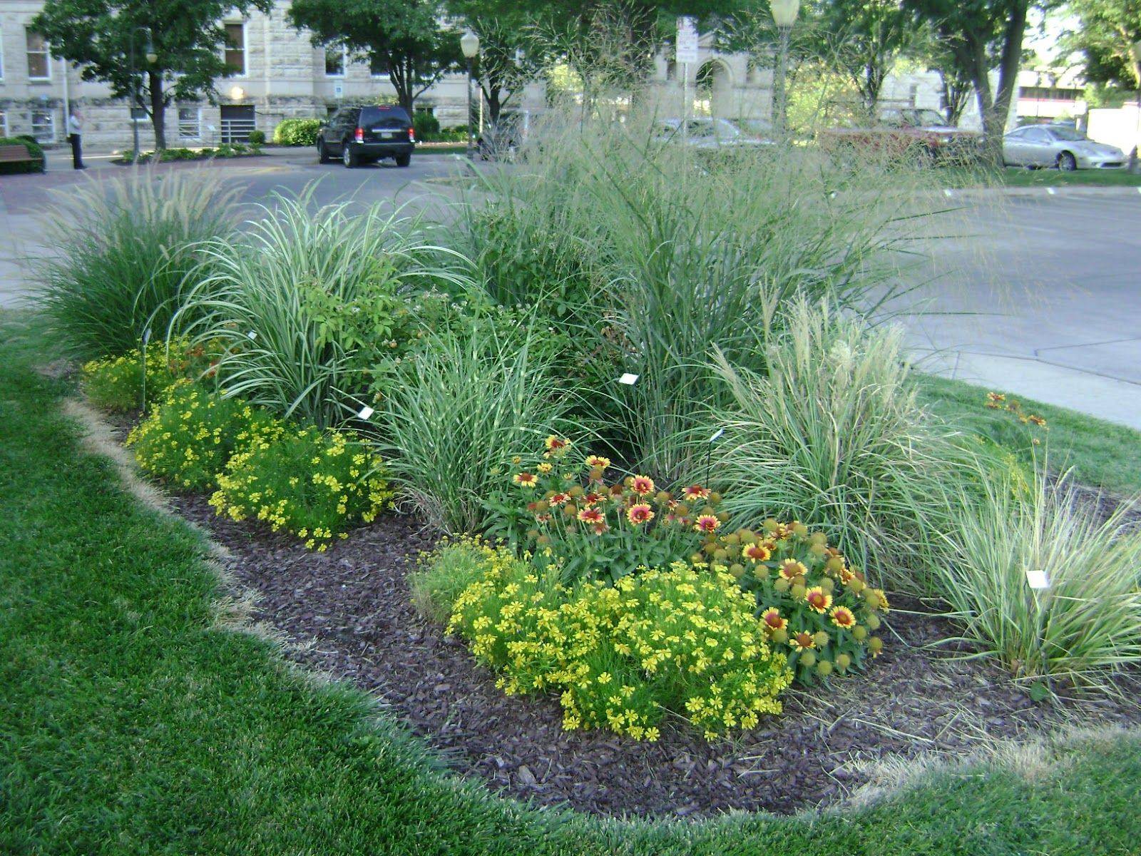 The Best Ornamental Grasses Landscape