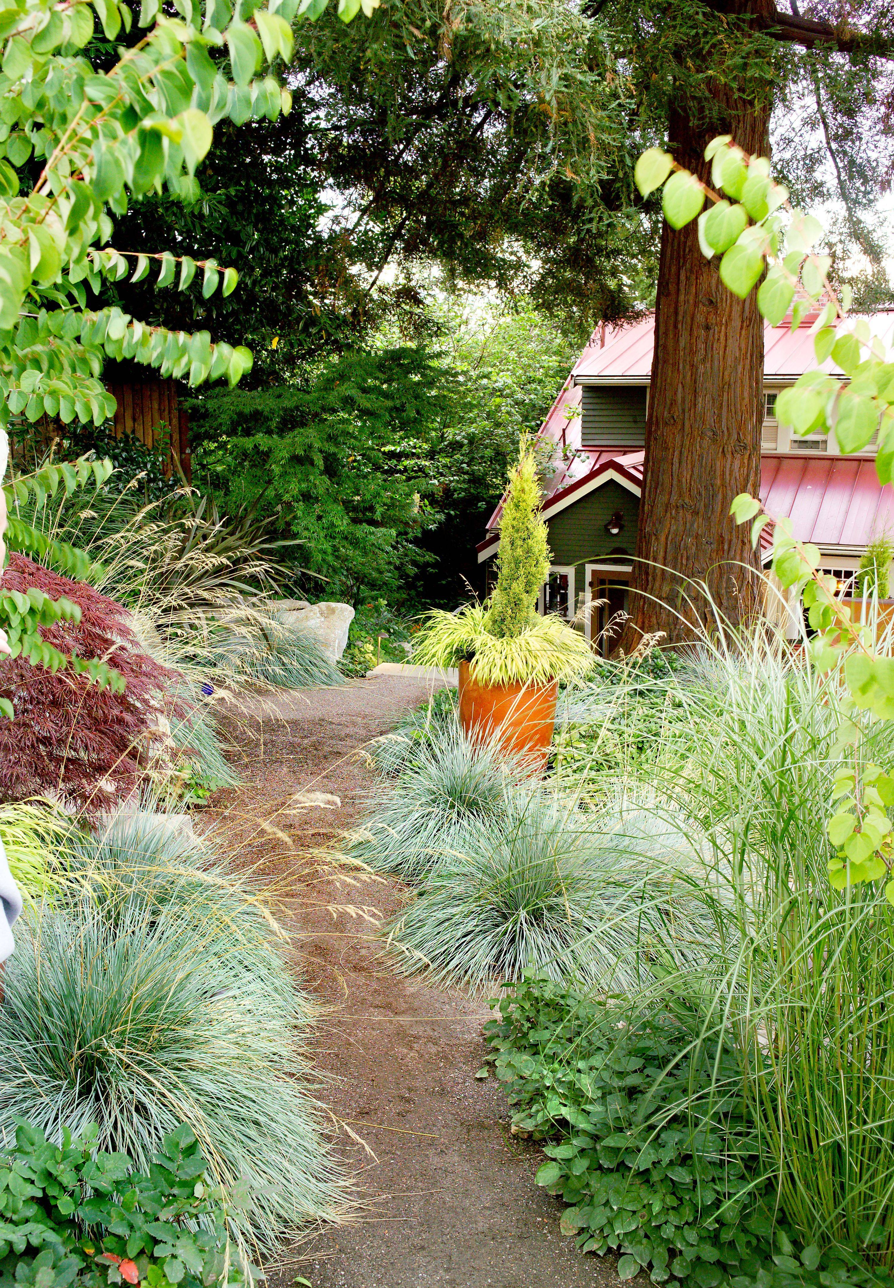 The Best Ornamental Grasses Landscape