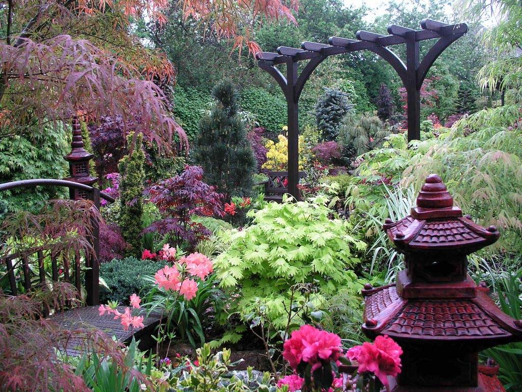 A Garden