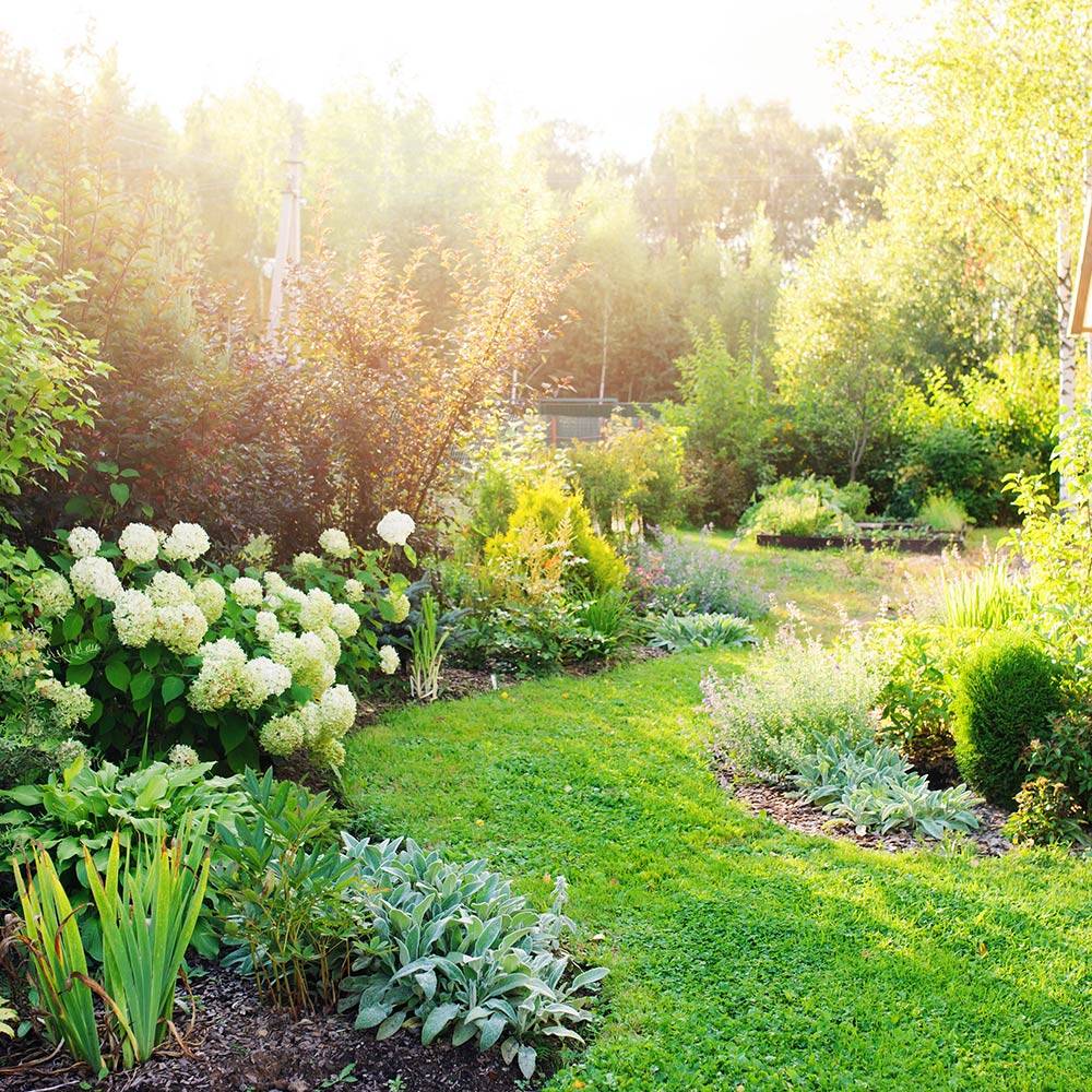 A Fantastic Four Season Garden Ann Nickerson