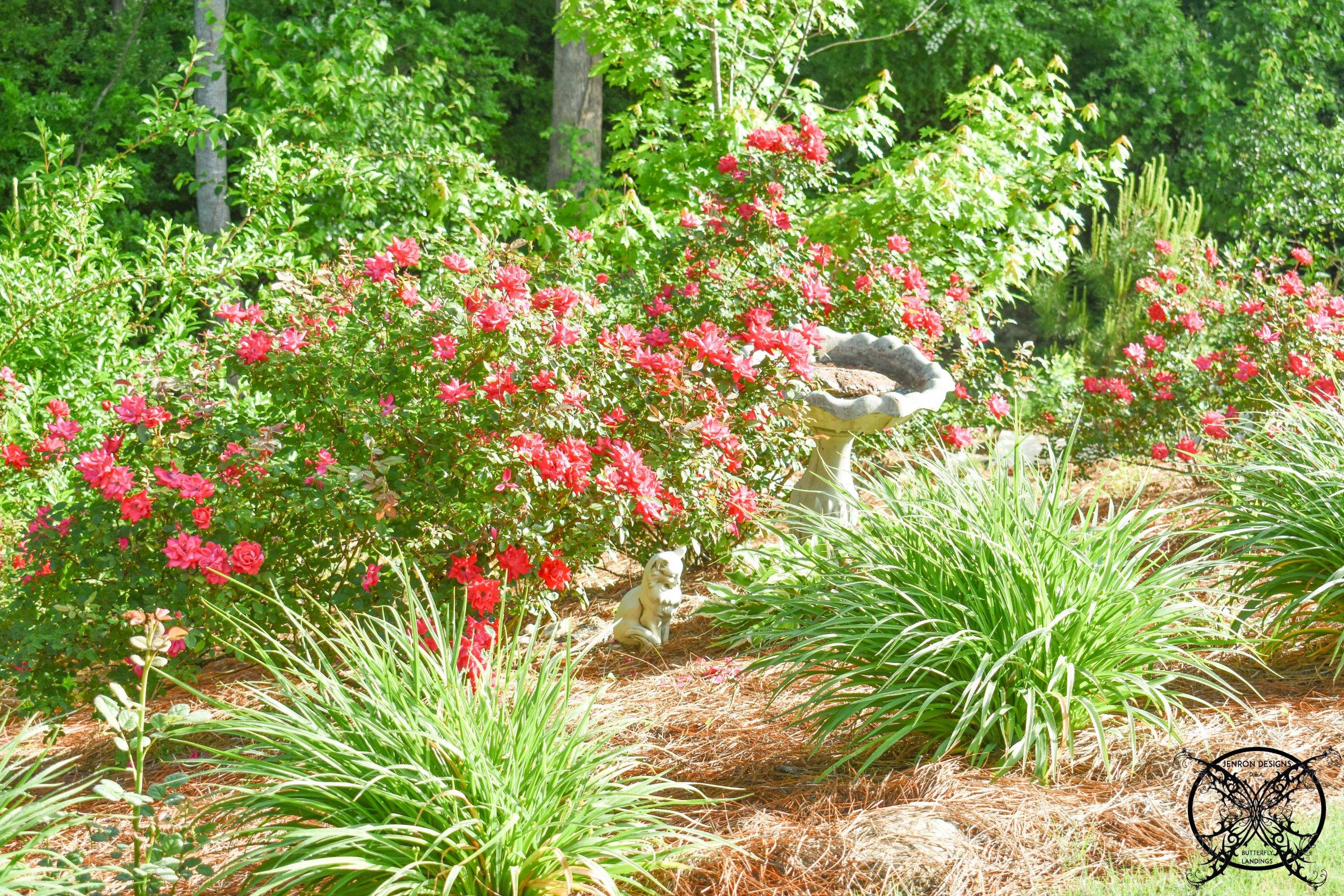 Four Seasons Garden Beautiful Gardens