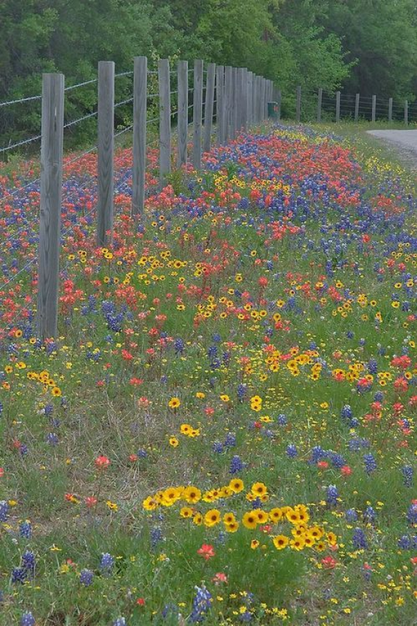 Beautiful Cottage Garden Ideas