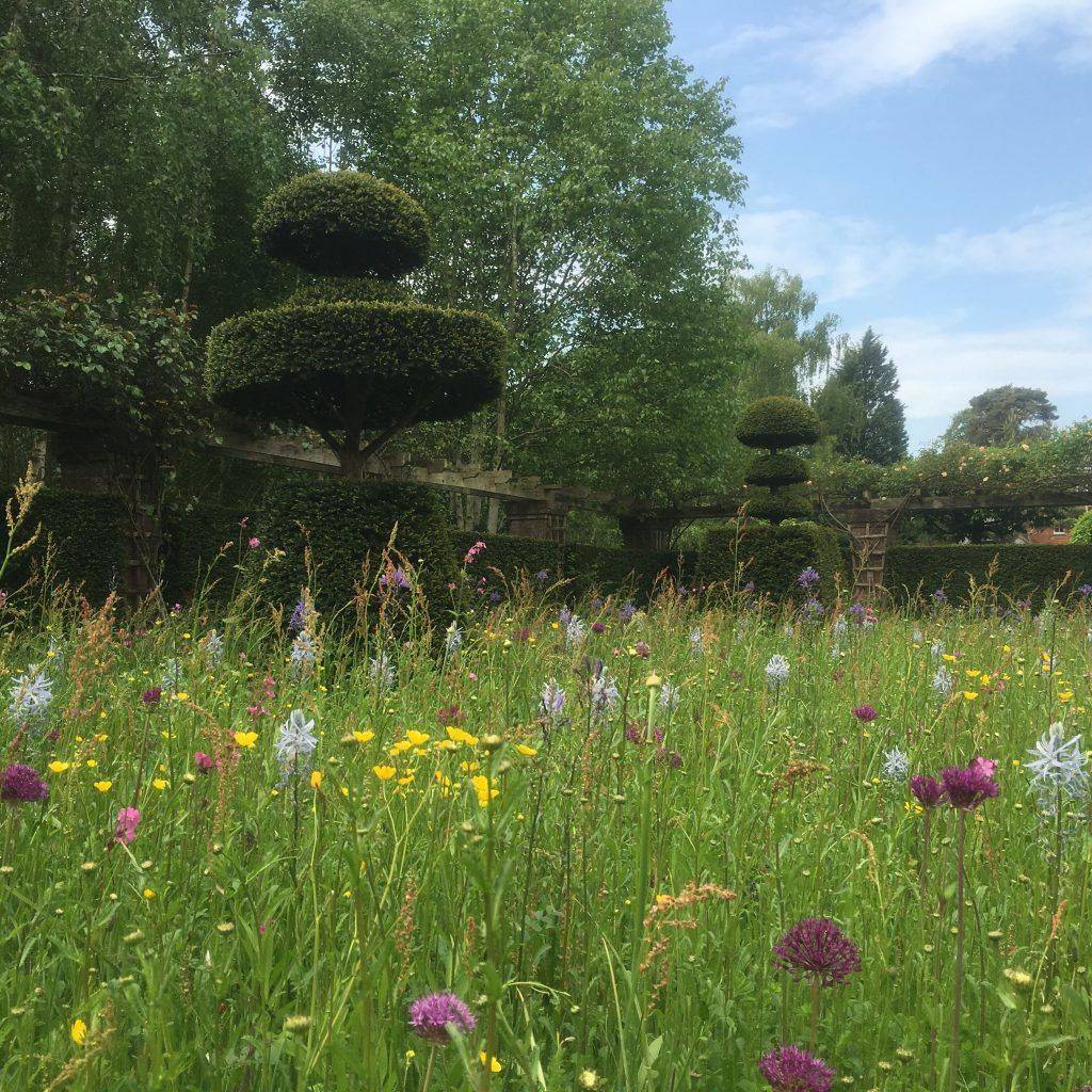 Wildflower Garden Ideas Uk Google Search Highgrove Garden