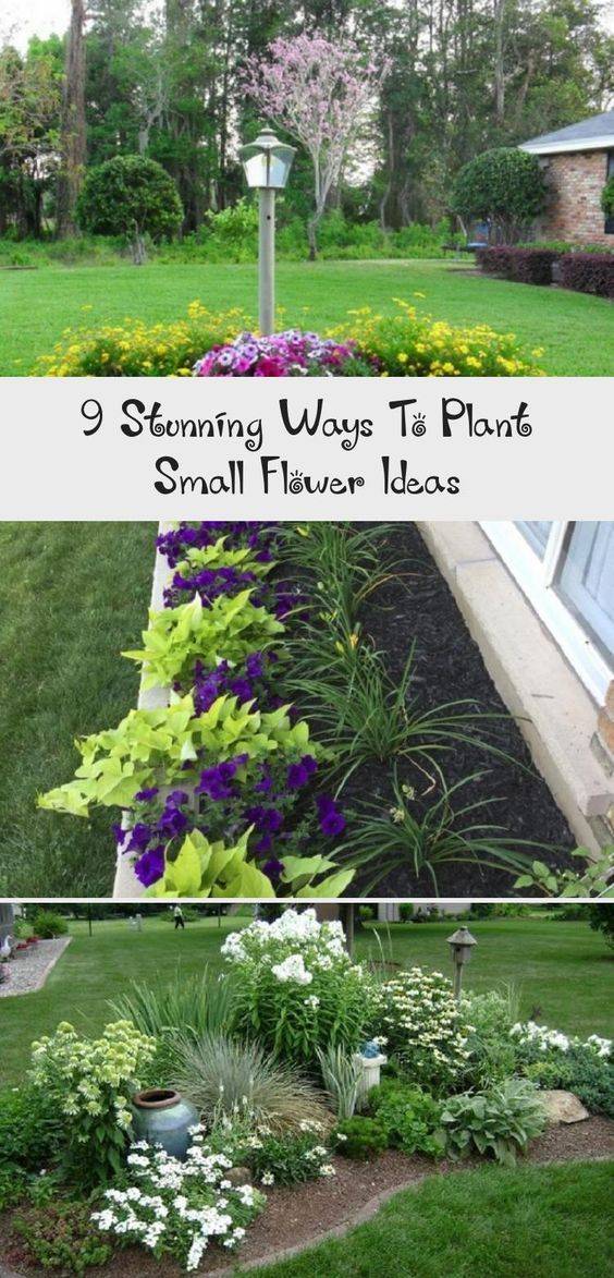 Inspiring Butterfly Garden Design Ideas