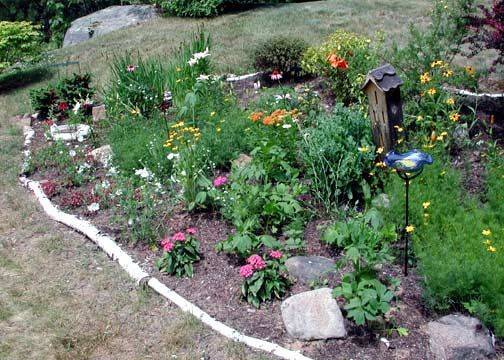 Butterflyfriendly Garden Plan