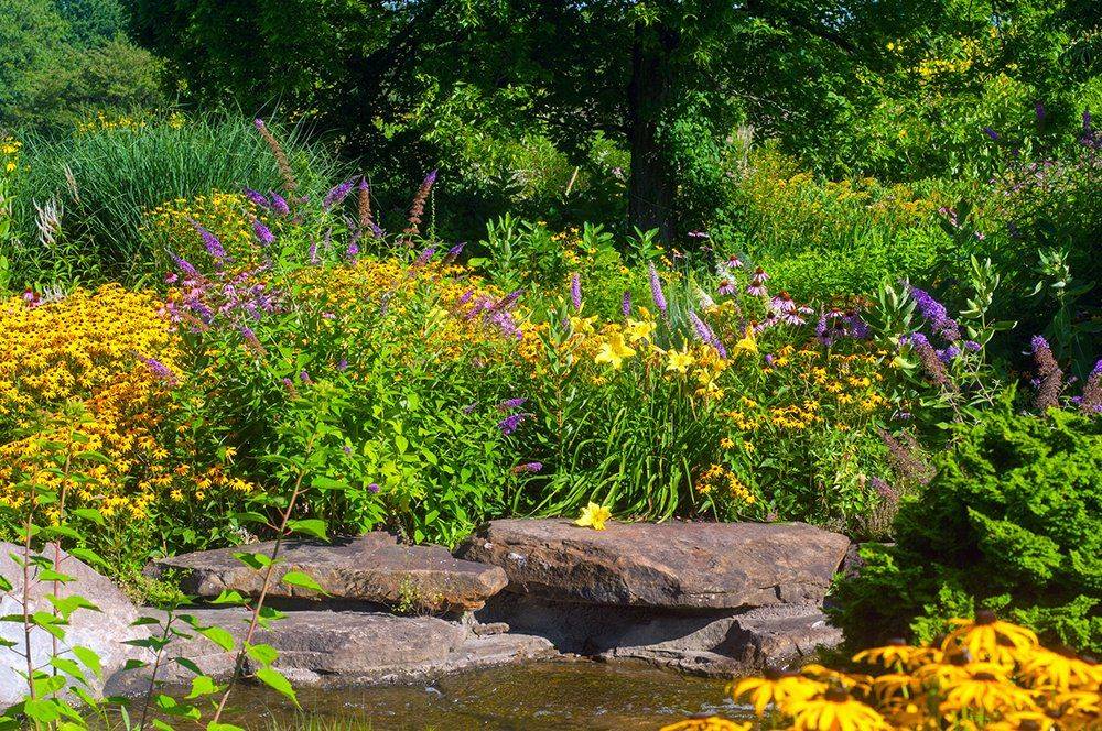 Butterfly Garden Design Perennial Garden Plans