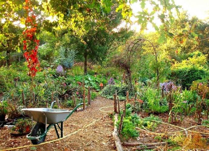 A Vertical Permaculture Garden Men